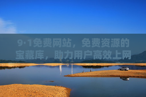 9·1免费网站，免费资源的宝藏库，助力用户高效上网