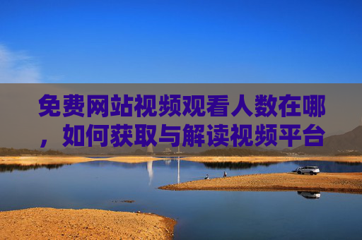 免费网站视频观看人数在哪，如何获取与解读视频平台数据