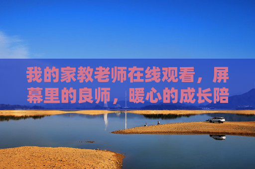 我的家教老师在线观看，屏幕里的良师，暖心的成长陪伴