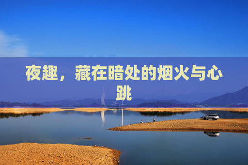 夜趣,藏在暗处的烟火与心跳