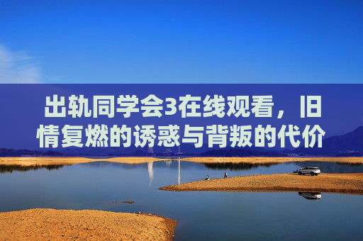 出轨同学会3在线观看,旧情复燃的诱惑与背叛的代价,重温青春的迷局与现实的拷问