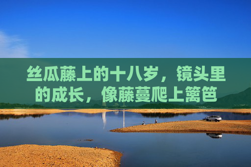 丝瓜藤上的十八岁，镜头里的成长，像藤蔓爬上篱笆