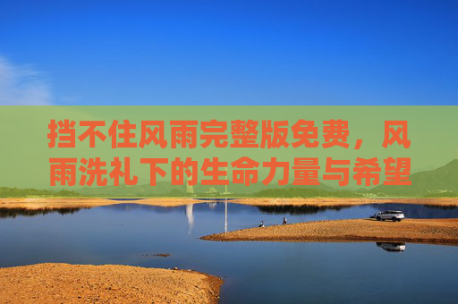 挡不住风雨完整版免费，风雨洗礼下的生命力量与希望之光