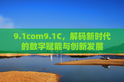 9.1com9.1C，解码新时代的数字赋能与创新发展