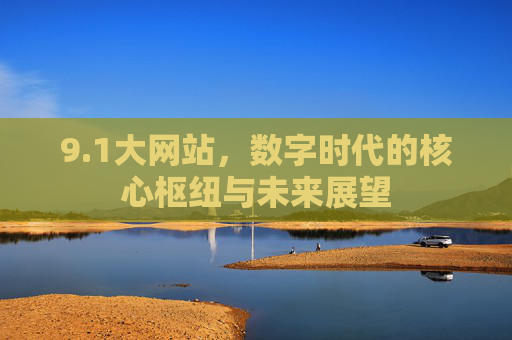 9.1大网站，数字时代的核心枢纽与未来展望