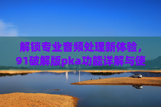 解锁专业音频处理新体验，91破解版pka功能详解与使用指南