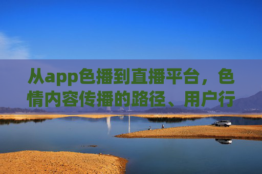 从app色播到直播平台，色情内容传播的路径、用户行为与社会影响