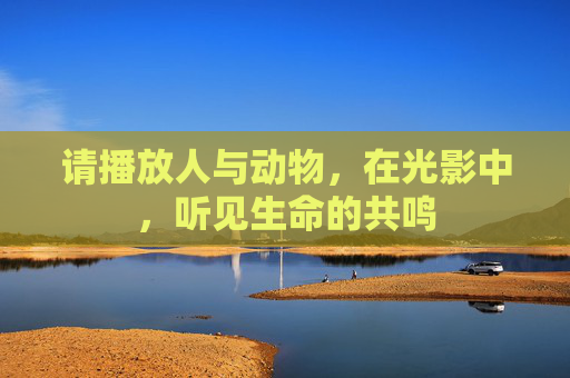请播放人与动物，在光影中，听见生命的共鸣