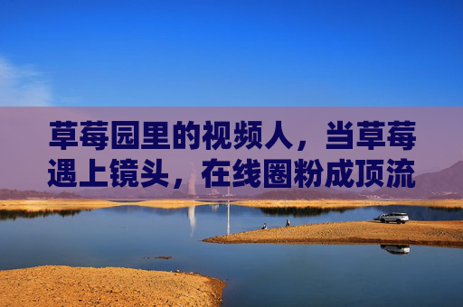 草莓园里的视频人,当草莓遇上镜头,在线圈粉成顶流