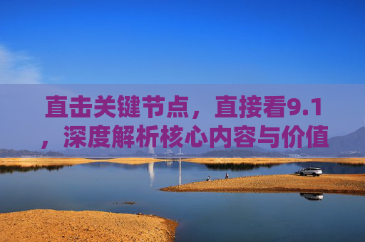 直击关键节点,直接看9.1,深度解析核心内容与价值