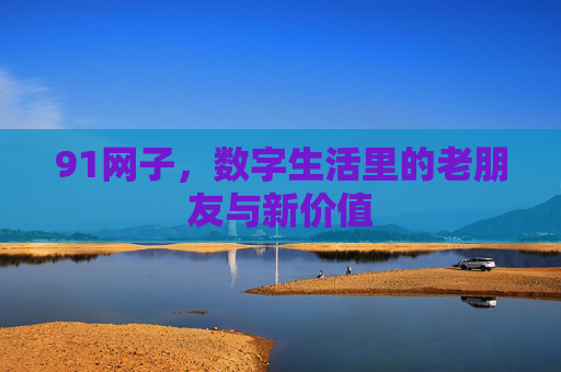 91网子，数字生活里的老朋友与新价值