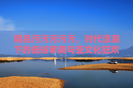 精品污污污污污，时代浪潮下的低俗审美与亚文化狂欢