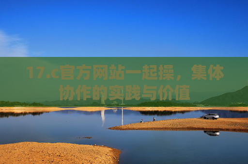 17.c官方网站一起操，集体协作的实践与价值