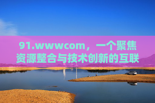 91.wwwcom,一个聚焦资源整合与技术创新的互联网平台解析