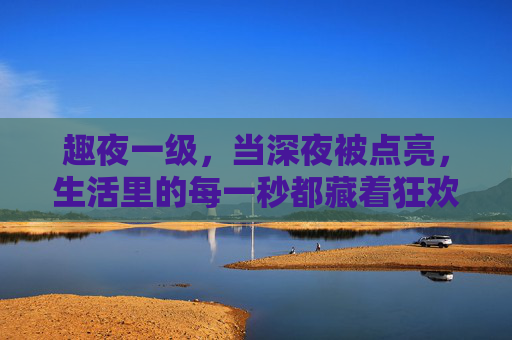 趣夜一级,当深夜被点亮,生活里的每一秒都藏着狂欢的密码