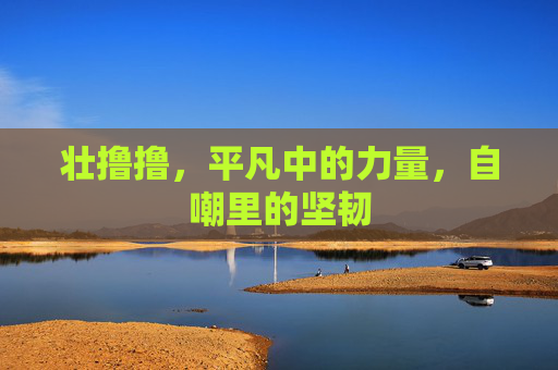 壮撸撸,平凡中的力量,自嘲里的坚韧