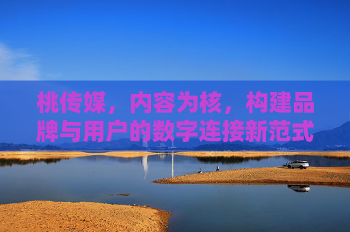 桃传媒,内容为核,构建品牌与用户的数字连接新范式