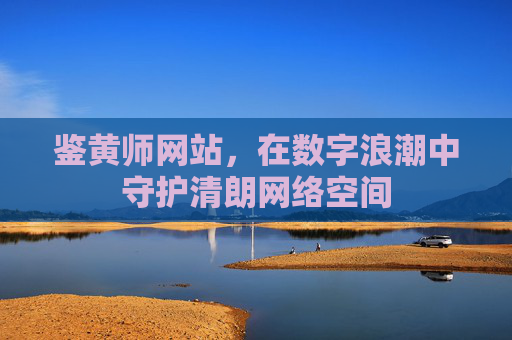 鉴黄师网站,在数字浪潮中守护清朗网络空间