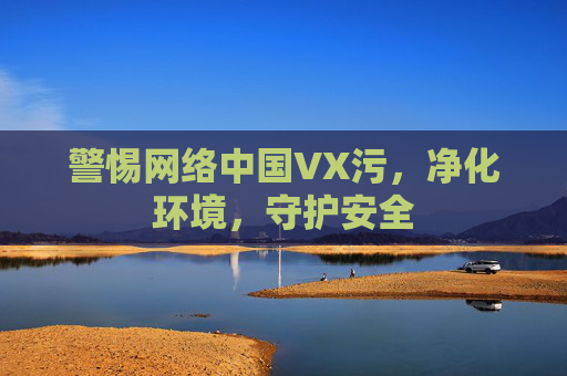警惕网络中国VX污，净化环境，守护安全