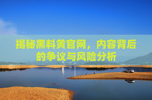 揭秘黑料黄官网，内容背后的争议与风险分析