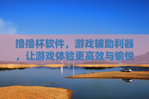 撸撸杯软件,游戏辅助利器,让游戏体验更高效与愉悦