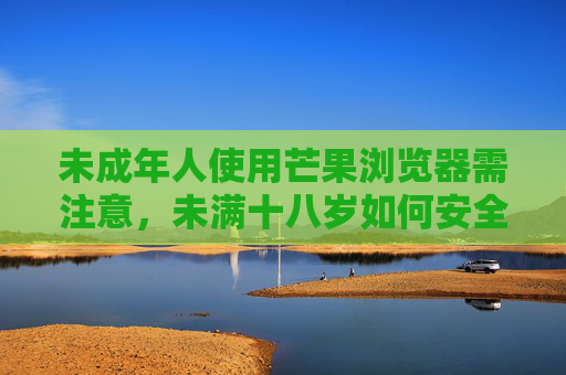未成年人使用芒果浏览器需注意，未满十八岁如何安全上网？