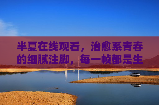 半夏在线观看，治愈系青春的细腻注脚，每一帧都是生活的温柔提醒