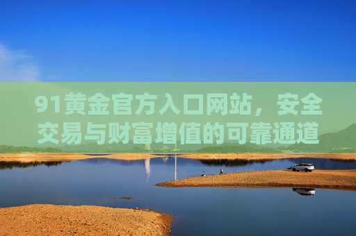 91黄金官方入口网站，安全交易与财富增值的可靠通道