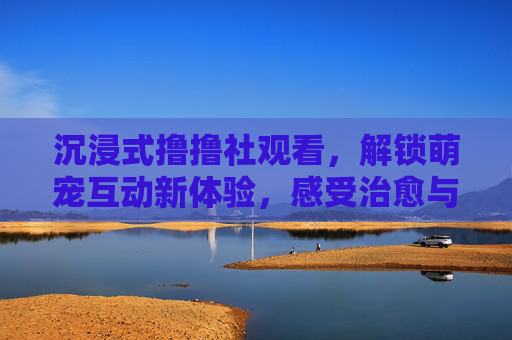沉浸式撸撸社观看，解锁萌宠互动新体验，感受治愈与欢乐的日常