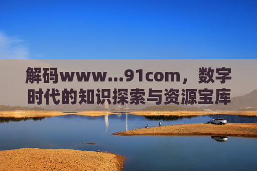 解码www...91com，数字时代的知识探索与资源宝库