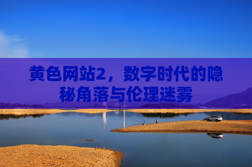 黄色网站2，数字时代的隐秘角落与伦理迷雾