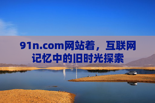 91n.com网站着，互联网记忆中的旧时光探索