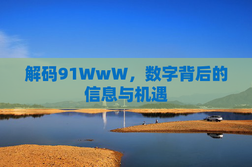 解码91WwW，数字背后的信息与机遇