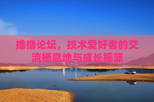 撸撸论坛，技术爱好者的交流栖息地与成长摇篮