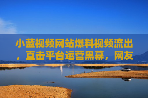 小蓝视频网站爆料视频流出，直击平台运营黑幕，网友呼吁加强监管