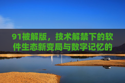 91被解版，技术解禁下的软件生态新变局与数字记忆的传承