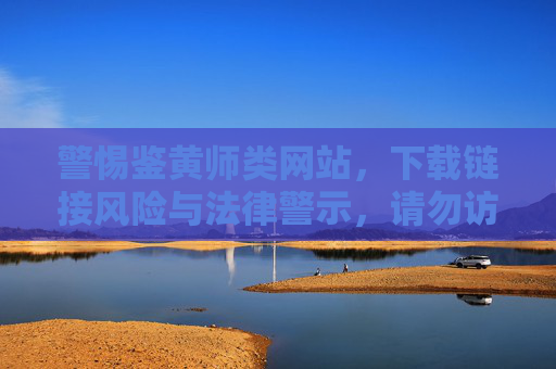 警惕鉴黄师类网站，下载链接风险与法律警示，请勿访问，守护网络空间清朗