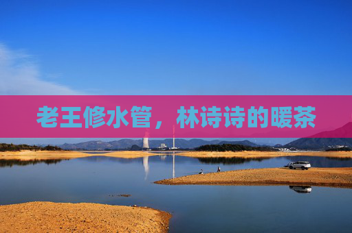 老王修水管，林诗诗的暖茶