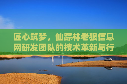 匠心筑梦，仙踪林老狼信息网研发团队的技术革新与行业引领