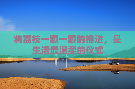 将荔枝一颗一颗的推进，是生活最温柔的仪式