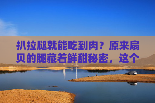 扒拉腿就能吃到肉？原来扇贝的腿藏着鲜甜秘密，这个吃法太妙了！