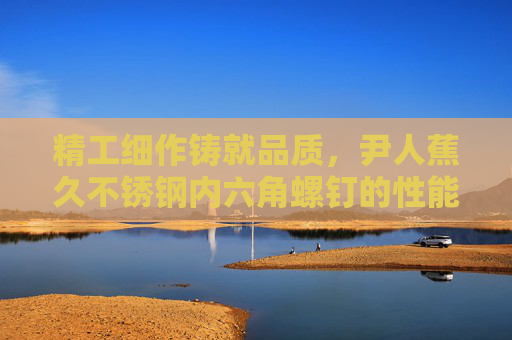 精工细作铸就品质，尹人蕉久不锈钢内六角螺钉的性能与应用解析