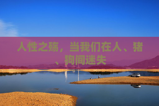 人性之殇，当我们在人、猪、狗间迷失