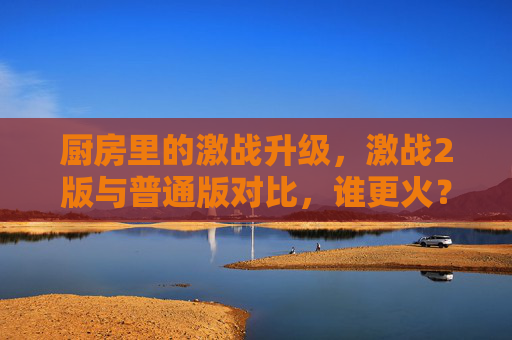 厨房里的激战升级，激战2版与普通版对比，谁更火？——从画面到玩法，全解析！