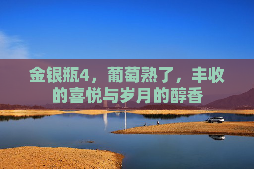 金银瓶4，葡萄熟了，丰收的喜悦与岁月的醇香
