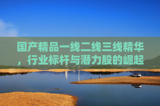 国产精品一线二线三线精华,行业标杆与潜力股的崛起之路