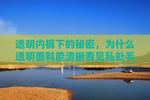 透明内裤下的秘密，为什么透明面料能清晰看见私处毛发？