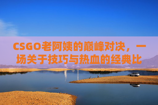 CSGO老阿姨的巅峰对决，一场关于技巧与热血的经典比赛回顾