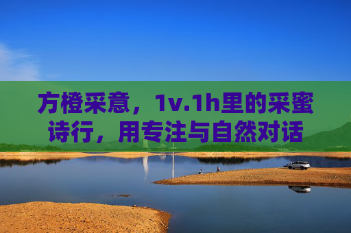 方橙采意，1v.1h里的采蜜诗行，用专注与自然对话