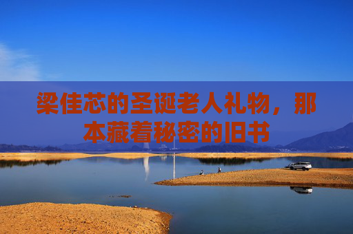 梁佳芯的圣诞老人礼物，那本藏着秘密的旧书